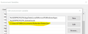 flutter bin path