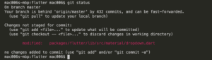 flutter git