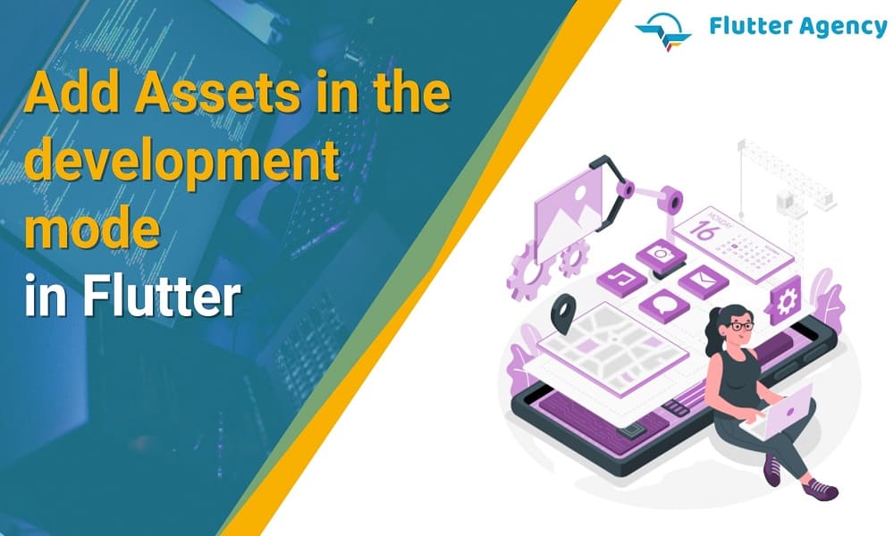 Assets in Development Mode in Flutter 1000X600